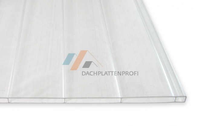 Doppelstegplatte Acryl Breitkammer - besonders schöne Optik 